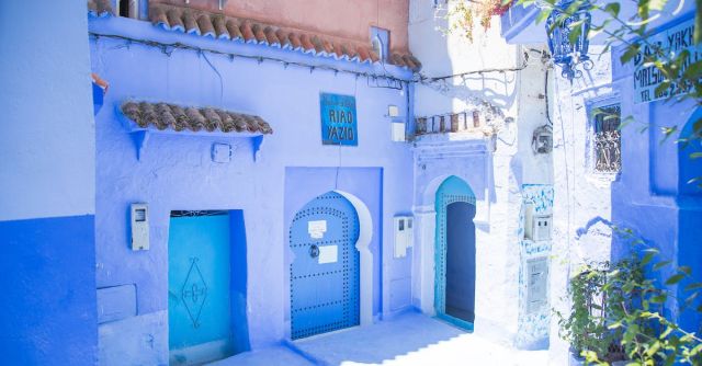 Masonry Wall - Blue exterior of house with doors located under sunlight on street with green plants in city of Morocco in summer
