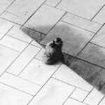 Concrete Mixers - Woman Sitting on Pavement