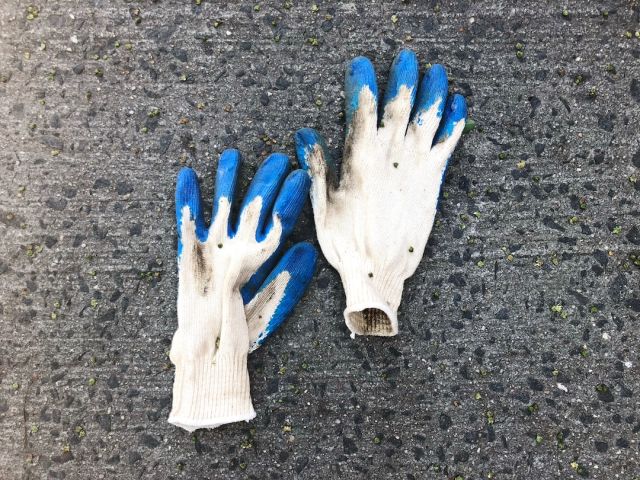 Work Gloves - pair of white gloves on white surface