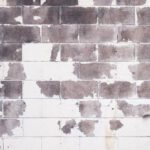 Cement - White and Gray Concrete Brick Wall