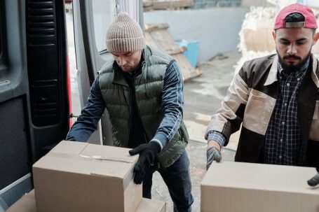 Loader - Men Holding Cardboard Boxes