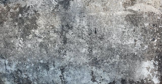 Cement - Concrete Wall