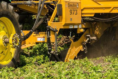 Bulldozer - Yellow Heavy Equipment on Ground with green Leaves